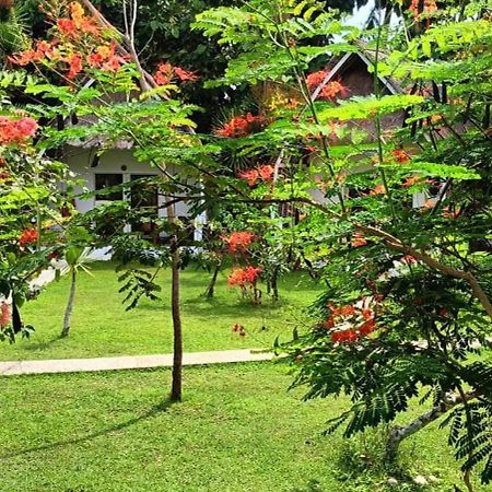 Namaste Bungalows Sakti Екстериор снимка